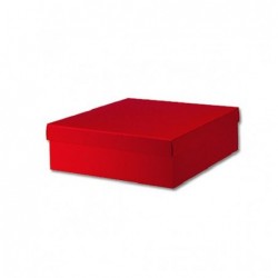SCATOLA F/C 220x160x40 SETA ROSSO [TONO13654-00.jpg]