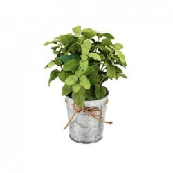 VASETTO LATTA MENTA VERDE [TONO23947-00.jpg]