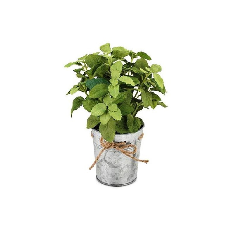 VASETTO LATTA MENTA VERDE [TONO23947-00.jpg]