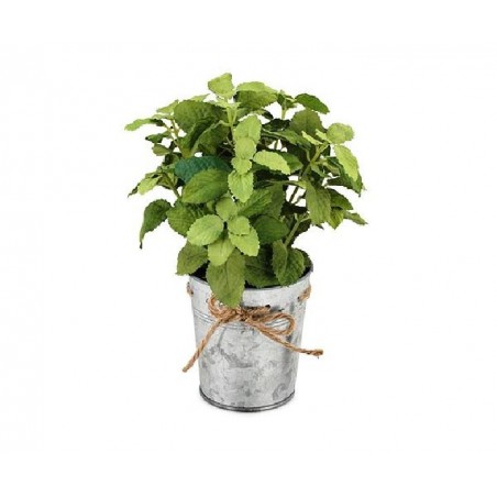 VASETTO LATTA MENTA VERDE [TONO23947-00.jpg]