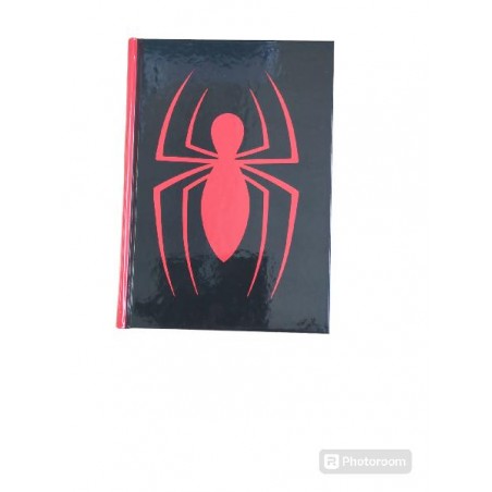---DIARIO 12m 14x20 SPIDERMAN [0074837-00.jpg]