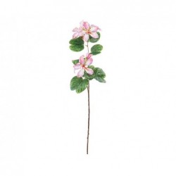 RAMO BAHUINIA ROSA 83cm [TONO26627-00.jpg]
