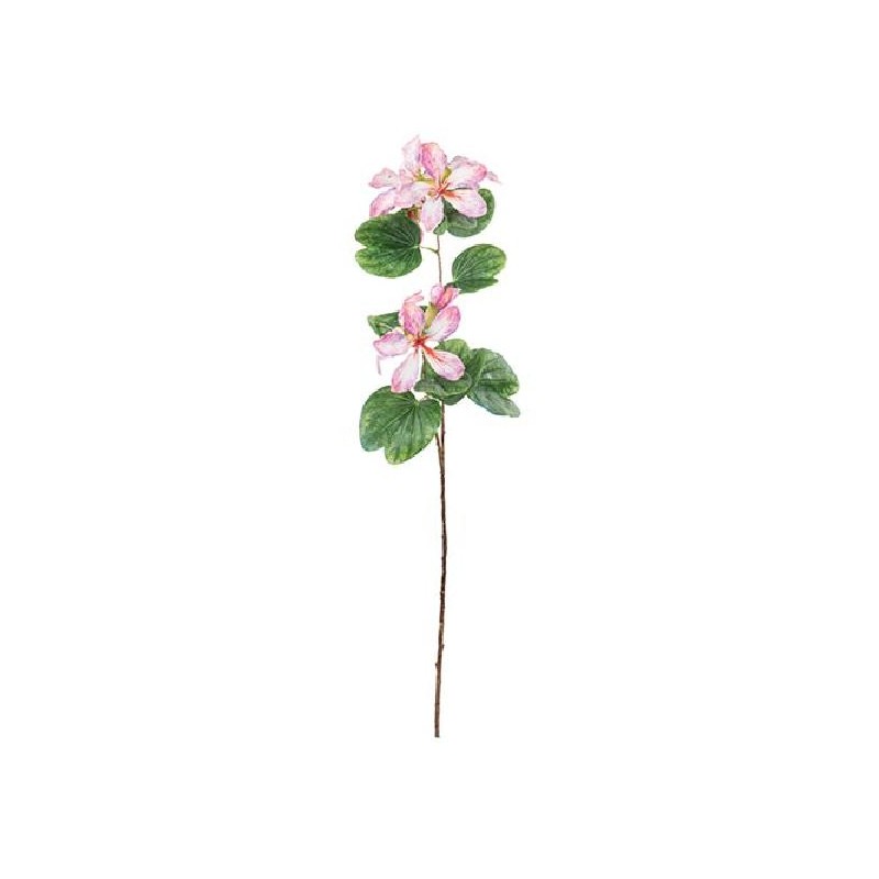RAMO BAHUINIA ROSA 83cm [TONO26627-00.jpg]
