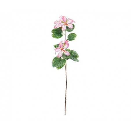 RAMO BAHUINIA ROSA 83cm [TONO26627-00.jpg]