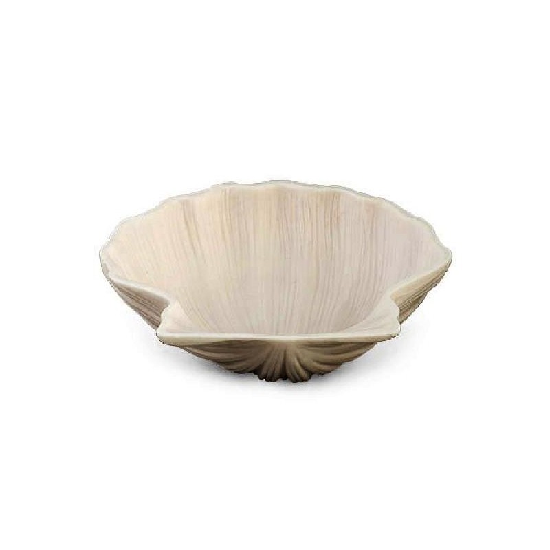 ---CIOTOLA CONCHIGLIA 10cm [TONO27946-00.jpg]