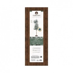 ABETE PVC INNEV. TRONCO SPOGLIO h180cm [9015115-10.jpg]