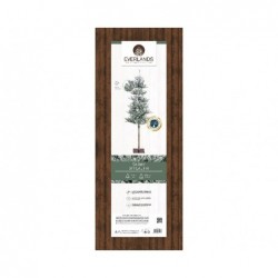 ABETE PVC INNEV. TRONCO SPOGLIO h240cm [9015116-10.jpg]