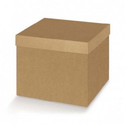 ---SCATOLA F/C 120x120x120 AVANA [TONO38585-00.jpg]