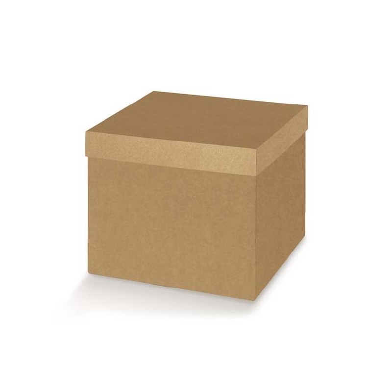 ---SCATOLA F/C 120x120x120 AVANA [TONO38585-00.jpg]