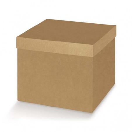 ---SCATOLA F/C 120x120x120 AVANA [TONO38585-00.jpg]