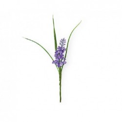 ---PICK LAVANDA 1 RAMETTO [TONO65319-00.jpg]