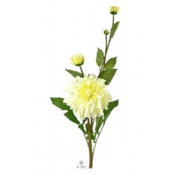 ---DALIA BIANCA h95cm [TONO65559-00.jpg]