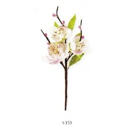 ---PICK FIORE DI PESCO h15cm [TONO66663-00.jpg]