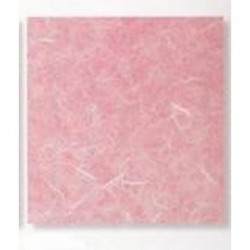 ---CARTARISO 65x95 gr25 ROSASCURO [0511085-00.jpg]