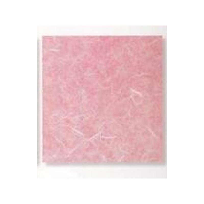 ---CARTARISO 65x95 gr25 ROSASCURO [0511085-00.jpg]