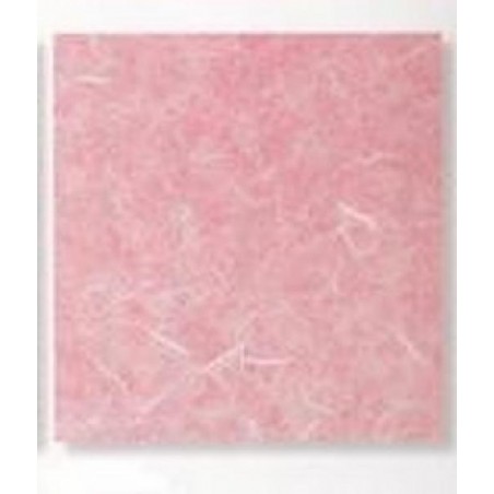 ---CARTARISO 65x95 gr25 ROSASCURO [0511085-00.jpg]