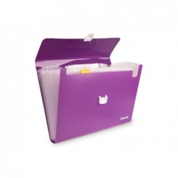 PORTADOCUMENTI SOFF. A4 13spazi ColBOOK [COL24164-10.jpg]