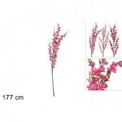 RAMO FIORI DI PESCO 177cm 3s [9020107-00.jpg]
