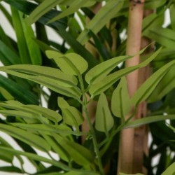 PIANTA ARTIFICIALE BAMBU	 cm153h [9020010-30.jpg]