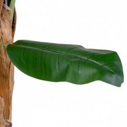 PIANTA ARTIFICIALE BANANO cm145h [9020004-20.jpg]