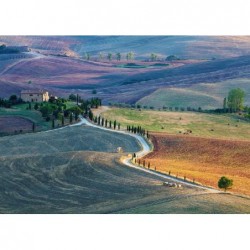 ---PUZZLE 1000pz 50x70-PODERE TERRAPILLE [0250467-10.jpg]
