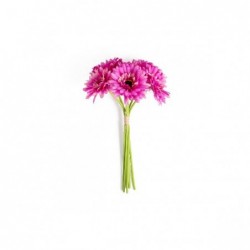 MAZZO 6 GERBERE 33cm FUCSIA [9022002-00.jpg]