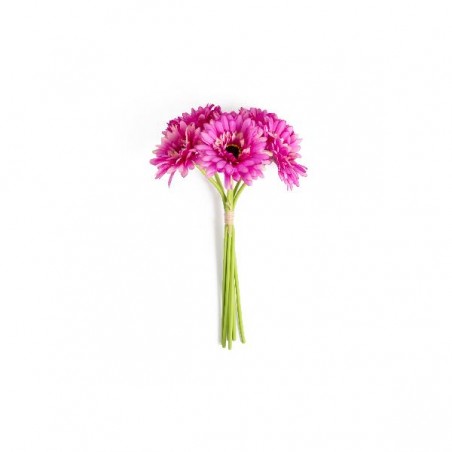 MAZZO 6 GERBERE 33cm FUCSIA [9022002-00.jpg]