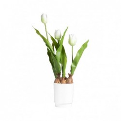 TULIPANO IN VASO 45cm BIANCO [9027934-00.jpg]