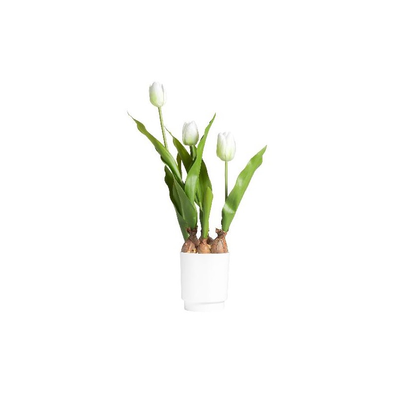 TULIPANO IN VASO 45cm BIANCO [9027934-00.jpg]
