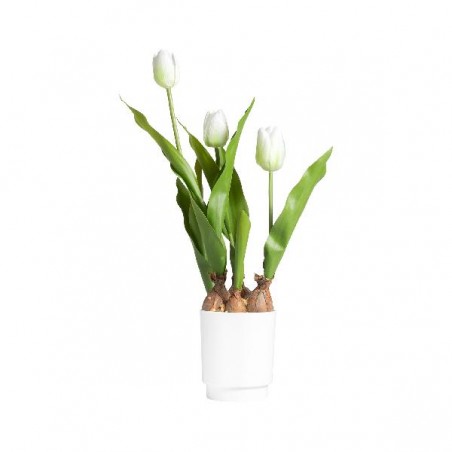 TULIPANO IN VASO 45cm BIANCO [9027934-00.jpg]