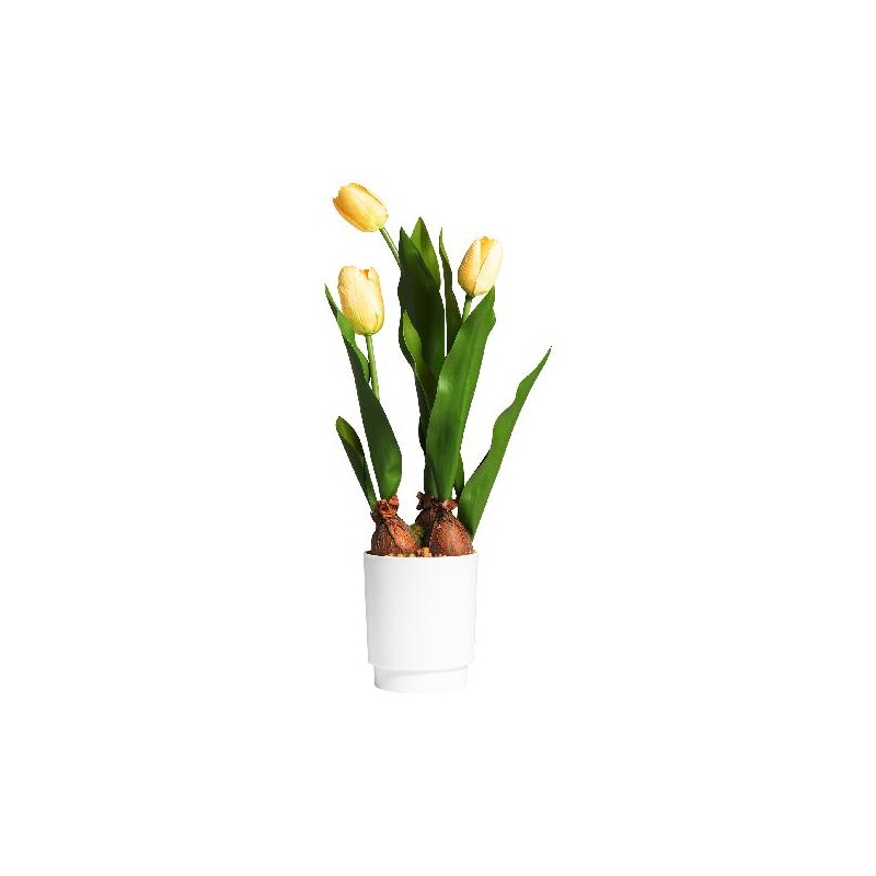 TULIPANO IN VASO 45cm GIALLO [9027958-00.jpg]