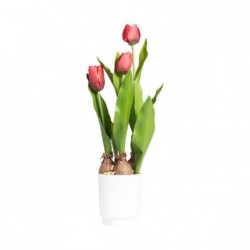 TULIPANO IN VASO 45cm ROSSO [9027965-00.jpg]