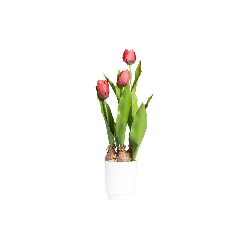 TULIPANO IN VASO 45cm ROSSO [9027965-00.jpg]