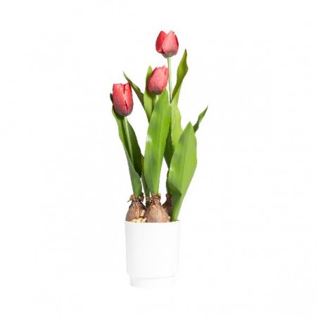 TULIPANO IN VASO 45cm ROSSO [9027965-00.jpg]