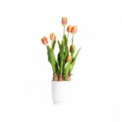 TULIPANO IN VASO 53cm ARANCIO [9028061-00.jpg]