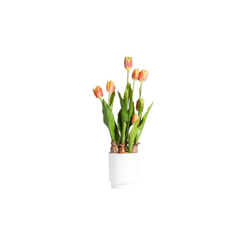 TULIPANO IN VASO 53cm ARANCIO [9028061-00.jpg]
