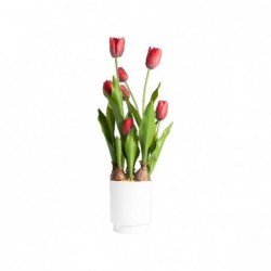 TULIPANO IN VASO 53cm ROSSO [9028085-00.jpg]