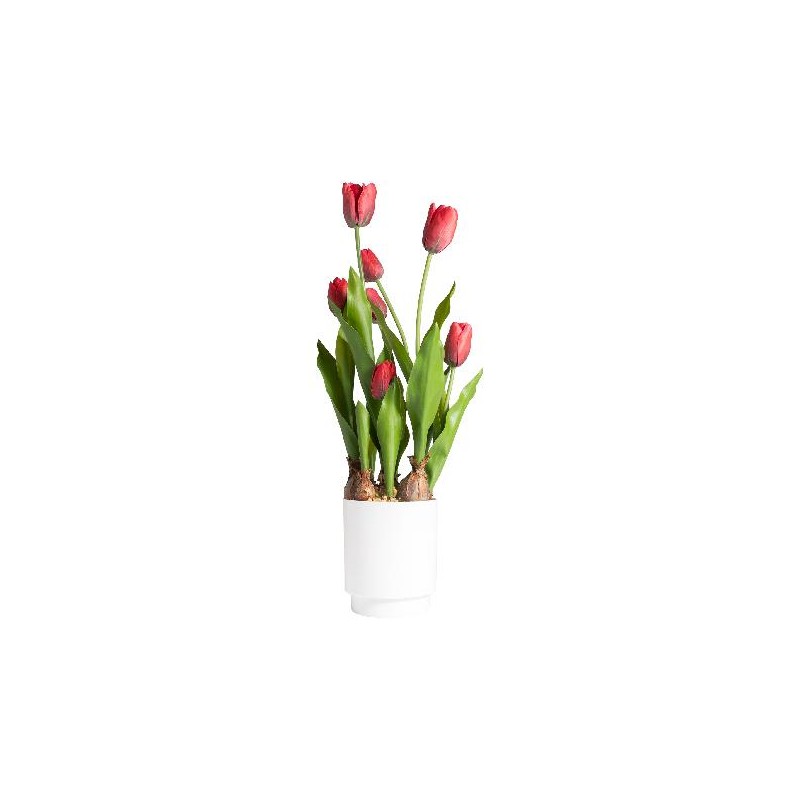 TULIPANO IN VASO 53cm ROSSO [9028085-00.jpg]