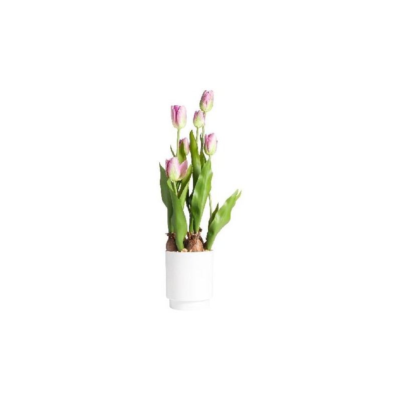 TULIPANO IN VASO 53cm ROSA [9028054-00.jpg]