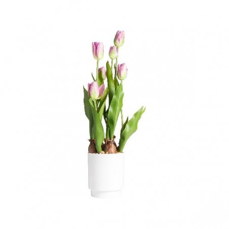 TULIPANO IN VASO 53cm ROSA [9028054-00.jpg]
