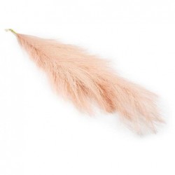 RAMO PAMPAS 75cm ROSA ANTICO [0130562-00.jpg]