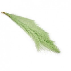 RAMO PAMPAS 75cm VERDE SALVIA [0130561-00.jpg]