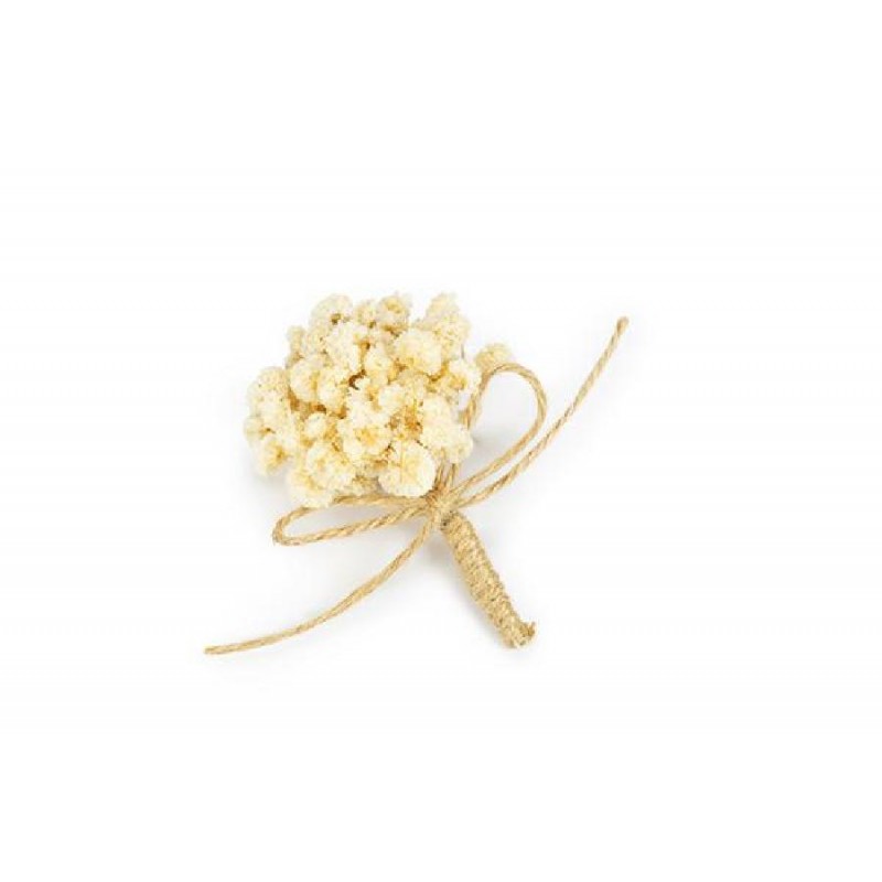 MAZZETTO SECCO NEBBIOLINA 8cm PANNA [0130550-00.jpg]