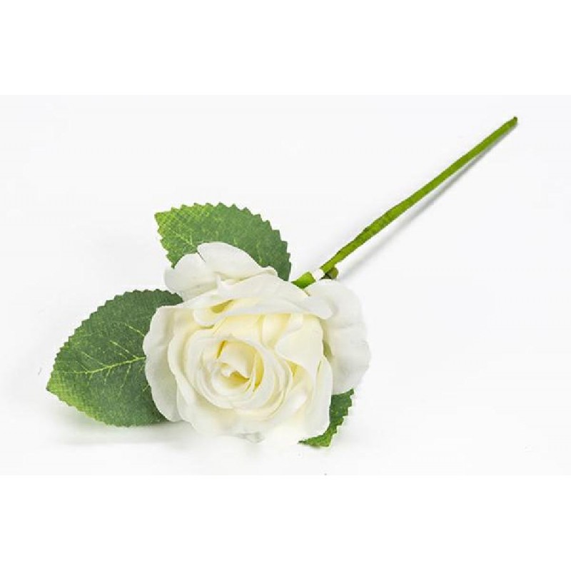 ROSA CON FOGLIE PANNA [0130150-00.jpg]