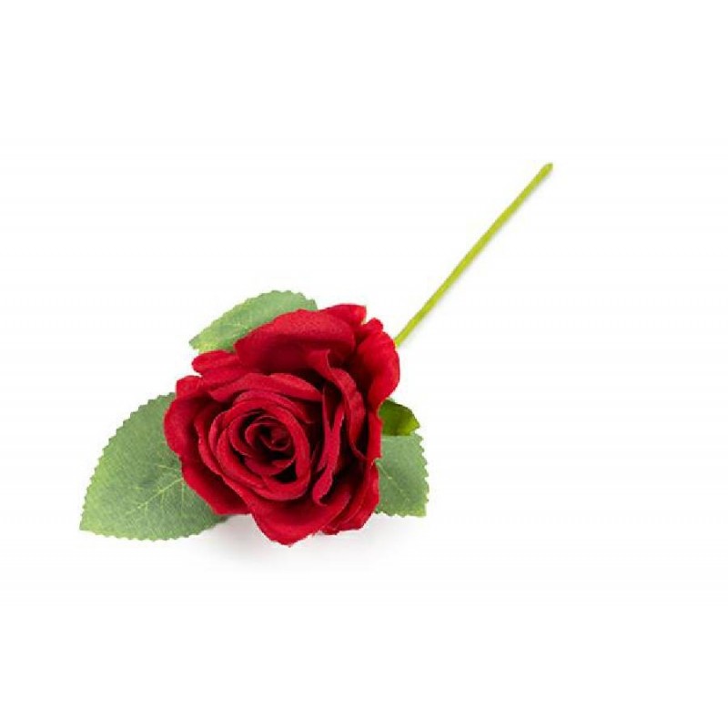 ROSA CON FOGLIE ROSSA [0130151-00.jpg]