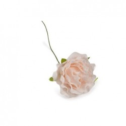 FIORE SMERLATO 4cm ROSA CIPRIA [0130551-00.jpg]