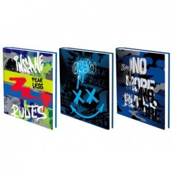 DIARIO 12mesi 13x18 M8 BOY CRAZY [7140019-00.jpg]