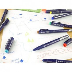 FINELINER-FRIXION-SWFF MARRONE [1210240-10.jpg]