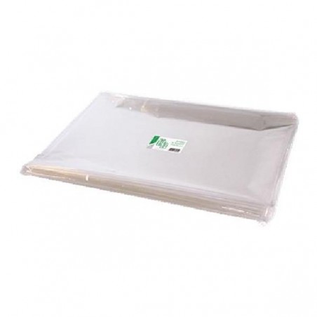 CELLOPHANE-100x130-ff25 pieg.1x1 NEUTRO [2610001-00.jpg]