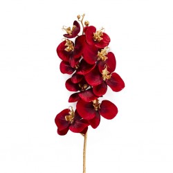 ---RAMO ORCHIDEA ROSSO...